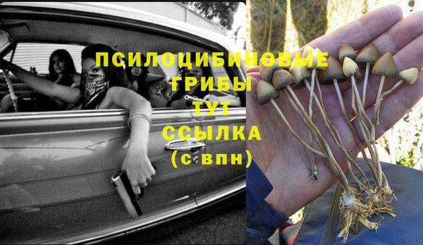спиды Балахна