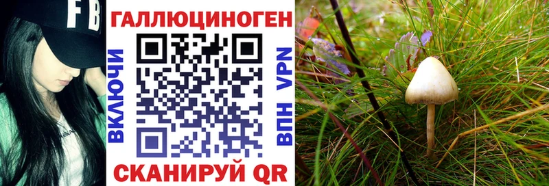 Псилоцибиновые грибы мицелий  Томилино 