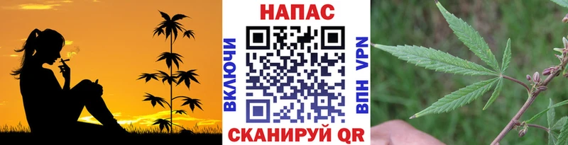 продажа наркотиков Томилино Бошки Шишки SATIVA & INDICA